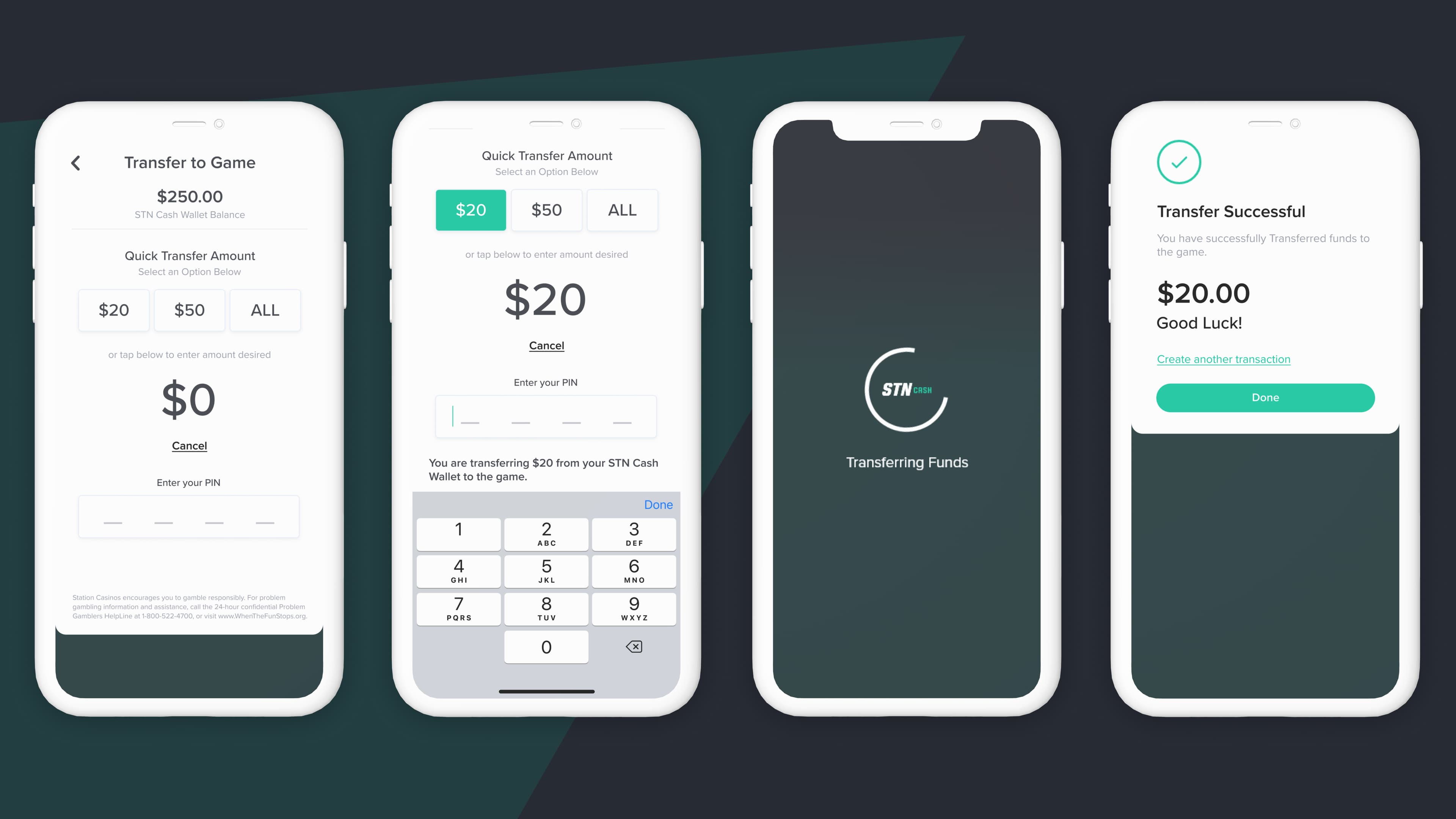 STN Cash Mobile App detail 1
