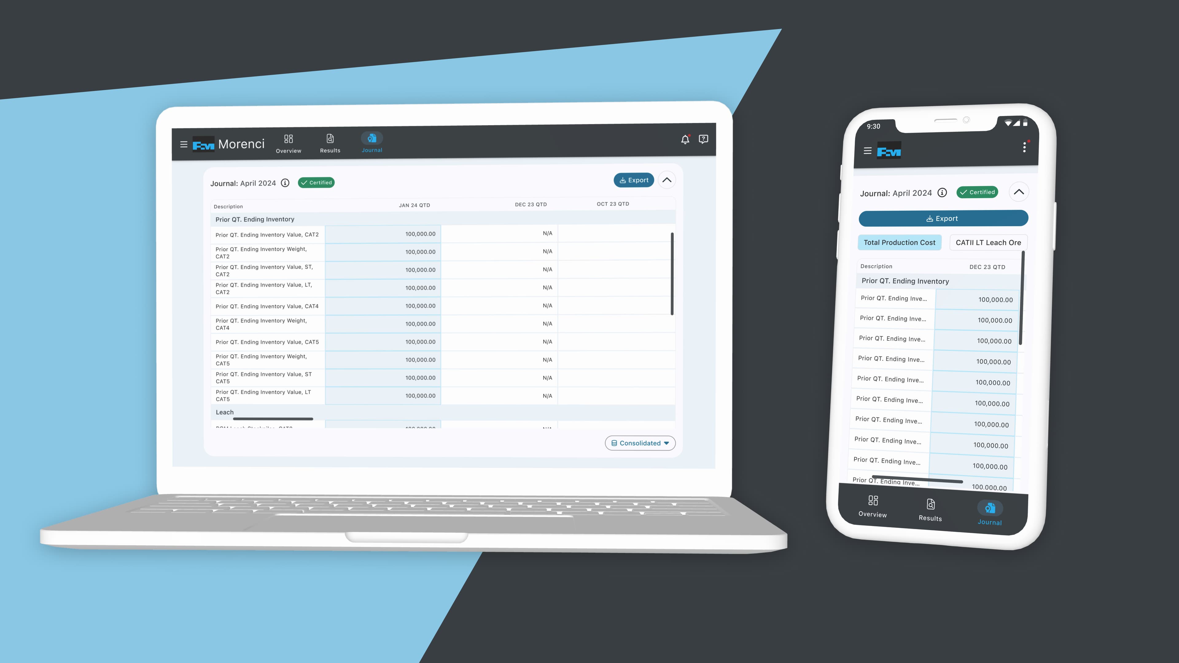 FinWIP Accounting System Enhancement detail 1